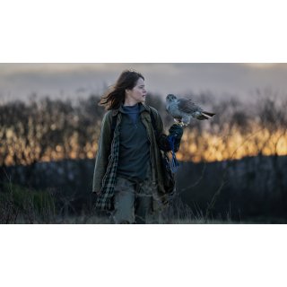 H Is For Hawk Picture 4