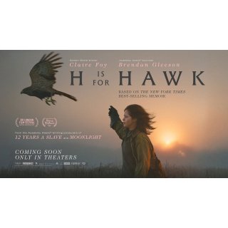 H Is For Hawk Picture 6