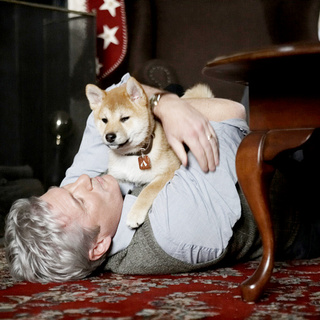 Richard Gere stars as Parker Wilson in Consolidated Pictures Group's Hachiko: A Dog's Story (2009)