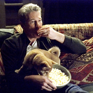 Hachiko: A Dog's Story Picture 5