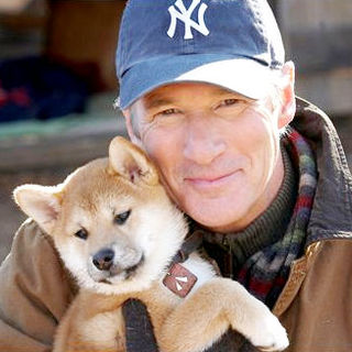 Hachiko: A Dog's Story Picture 19