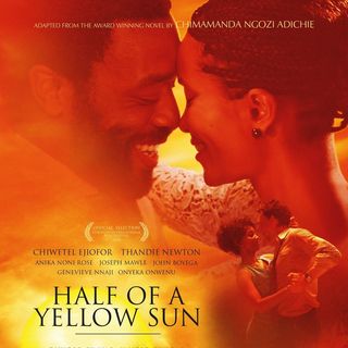 Half of a Yellow Sun Picture 4