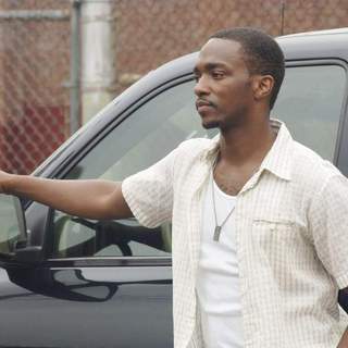 Half Nelson Picture 3