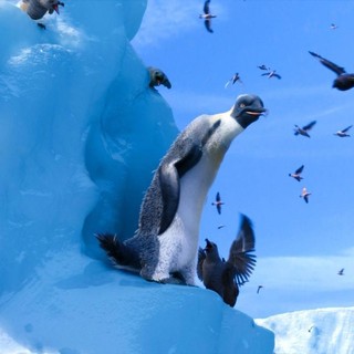 Happy Feet Two Picture 46