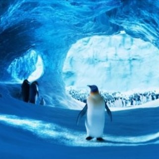 Happy Feet Two Picture 49