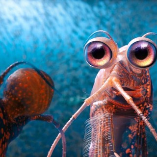 Happy Feet Two Picture 33