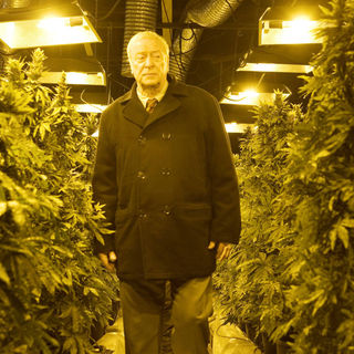 Harry Brown Picture 17