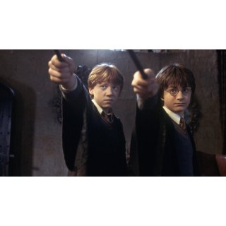 Harry Potter and the Chamber of Secrets (2002)