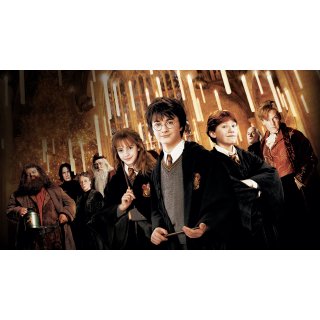 Harry Potter and the Chamber of Secrets (2002)