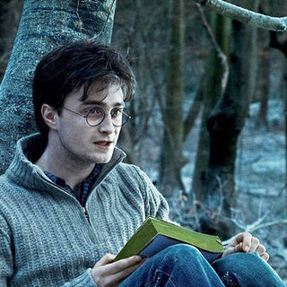 Daniel Radcliffe stars as Harry Potter in Warner Bros. Pictures' Harry Potter and the Deathly Hallows: Part I (2010)