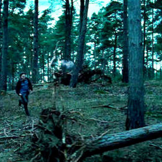Daniel Radcliffe stars as Harry Potter in Warner Bros. Pictures' Harry Potter and the Deathly Hallows: Part I (2010)