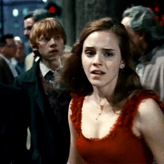 Daniel Radcliffe, Emma Watson and Rupert Grint in Warner Bros. Pictures' Harry Potter and the Deathly Hallows: Part I (2010)