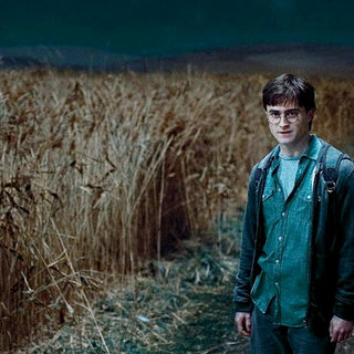 Harry Potter and the Deathly Hallows: Part I Picture 62