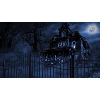 Haunted Mansion (2016), The Picture 4