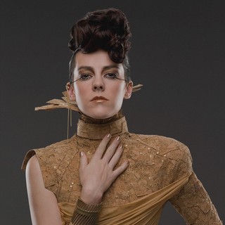 Poster of Lionsgate Films' The Hunger Games: Catching Fire (2013)