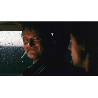 Hitcher, The Picture 8