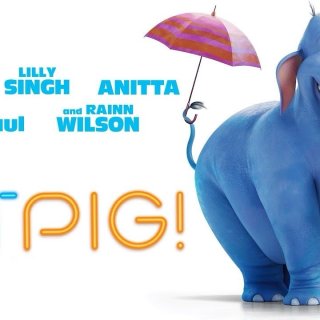 Hitpig Picture 5