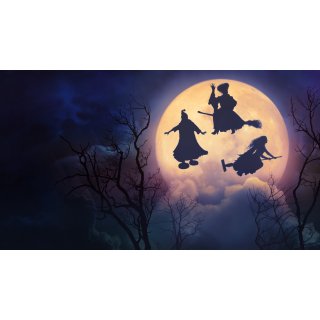 Hocus Pocus 2 Picture 8