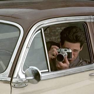 Adrien Brody as Louis Simo in Focus Features' Hollywoodland (2006)