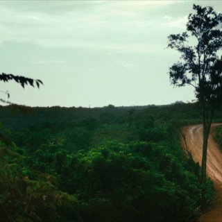 Homo Sive Natura Picture 2