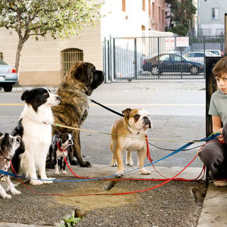 Jake T. Austin stars as Bruce and Emma Roberts stars as Andi in DreamWorks' Hotel for Dogs (2009)