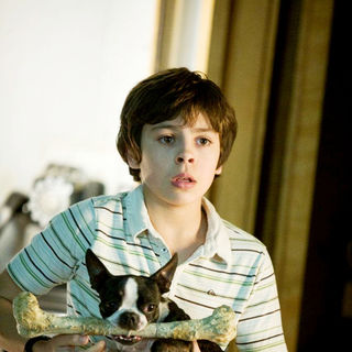 Jake T. Austin stars as Bruce in DreamWorks' Hotel for Dogs (2009)