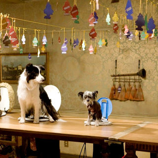 A scene from DreamWorks' Hotel for Dogs (2009)