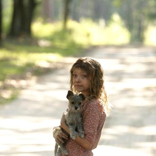 Hounddog Picture 2