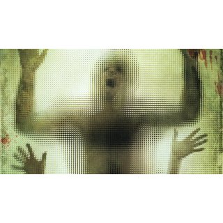 Human Centipede, The Picture 1