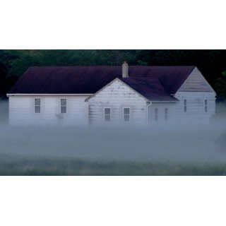 I Am the Pretty Thing That Lives in the House (2016)