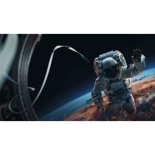 I.S.S. Picture 9