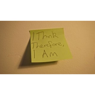 I Think, Therefore I Am Picture 10