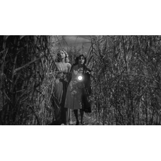 I Walked With A Zombie Picture 1