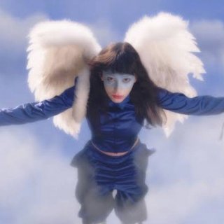 Imaginal Disk Picture 8