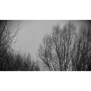 In Winter (2026)