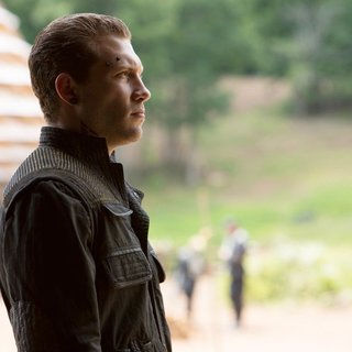 Divergent Series: Insurgent, The Picture 22
