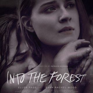 Poster of A24's Into the Forest (2016)