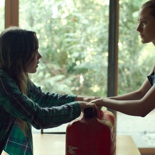 Into The Forest Picture 1