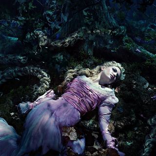 Into The Woods Picture 16