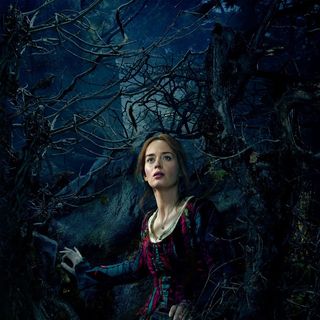 Into The Woods Picture 19
