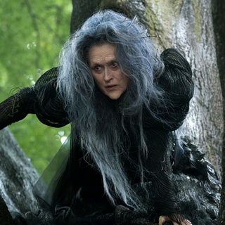Into The Woods Picture 1
