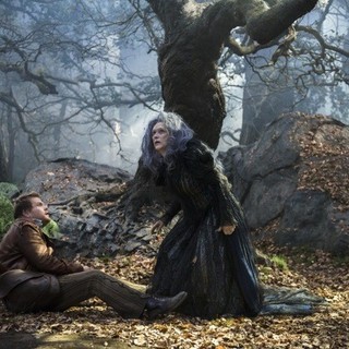 James Corden stars as The Baker and Meryl Streep stars as The Witch in Walt Disney Pictures' Into the Woods (2014)