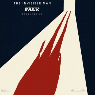 Invisible Man, The Picture 5