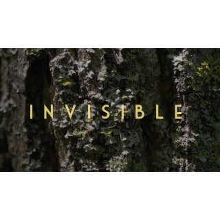 Invisible - Revealing Hidden Disabilities Picture 1