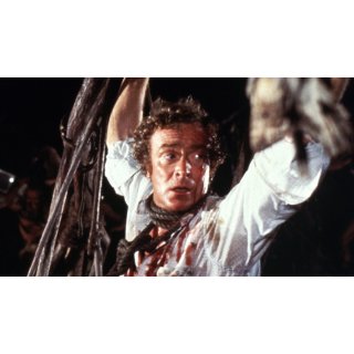 Island (2015), The (1970)