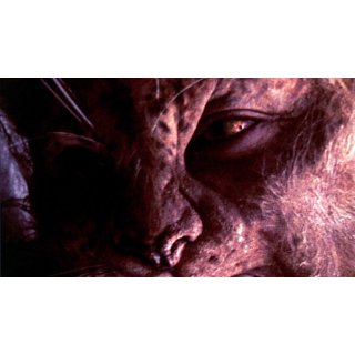 Island Of Dr. Moreau, The Picture 7