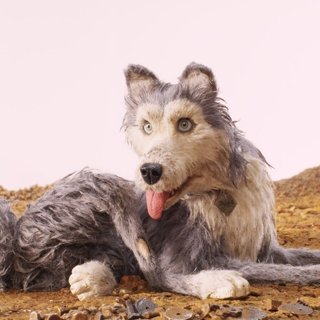 Duke from Fox Searchlight Pictures' Isle of Dogs (2018)