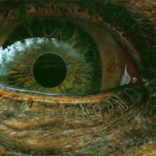 Jack The Giant Slayer Picture 6