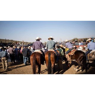 Jaripeo Picture 4