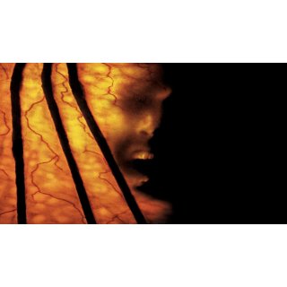 Jeepers Creepers 2 Picture 1